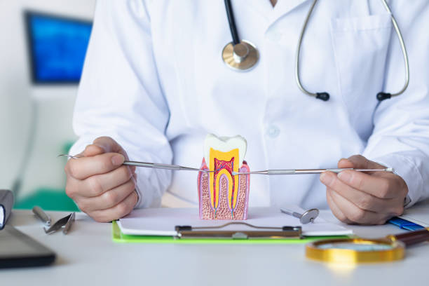 Best Emergency Treatment for Toothache in Fort Bliss, TX
